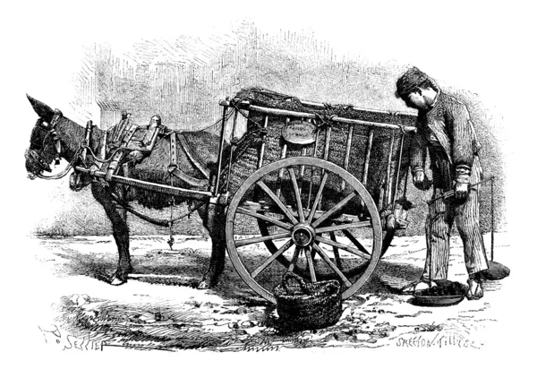 El dibujo del comerciante de carbón de Sellier- Valencia Spain vintage eng — Archivo Imágenes Vectoriales