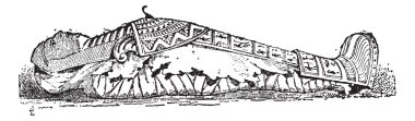 The Sarcophagus of Mummy vintage engraving clipart