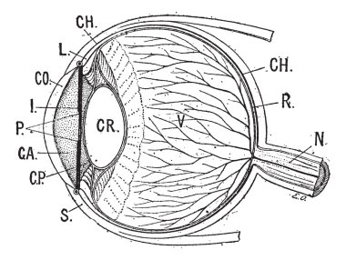 Iris, antika gravür.