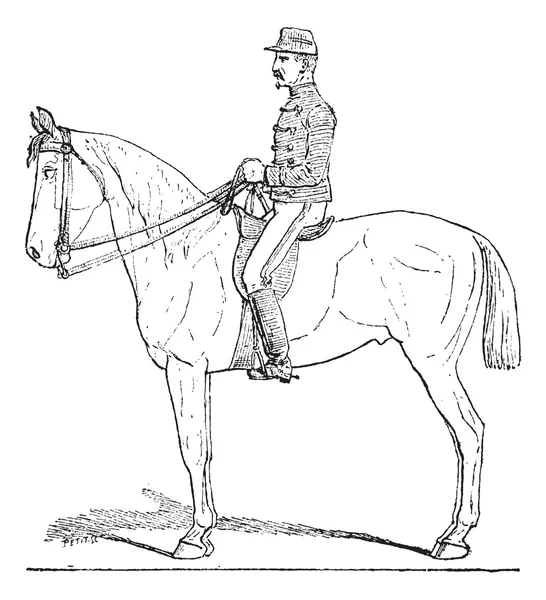Position du Cavalier, gravure vintage . — Image vectorielle