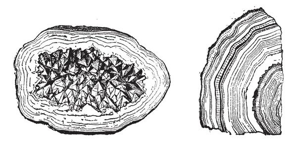 石英 geode 和玛瑙复古雕刻 — 图库矢量图片