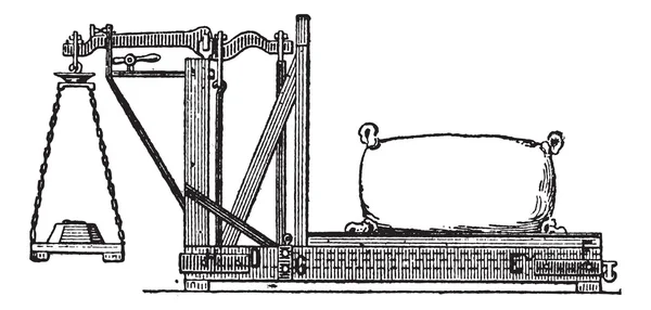 Fig. 3. quintenz evenwicht, vintage gravure. — Stockvector