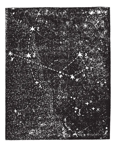 Sagittarius (Sternbild), Vintage-Gravur. — Stockvektor