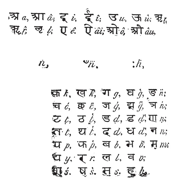 Sanskrit alphabet, vintage engraving. — Stock Vector © Morphart #9091682