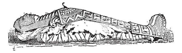 Sarkofág mumie vinobraní gravírování — Stockový vektor