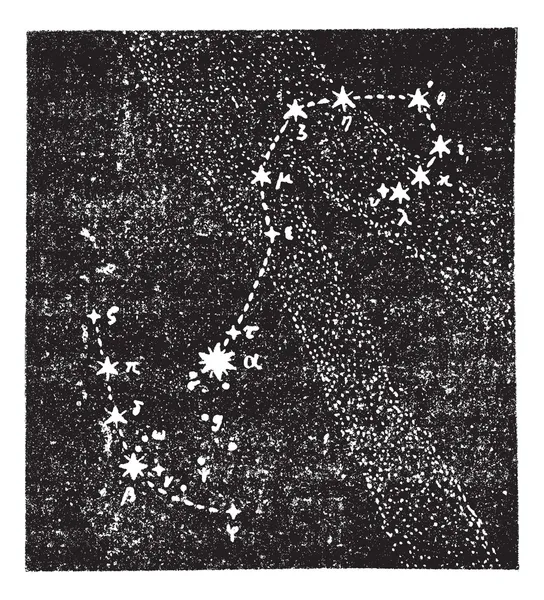 stock vector Scorpion constellation, vintage engraving.
