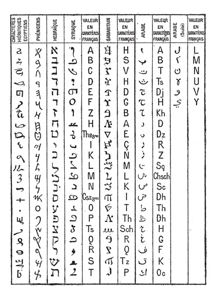 Семитский алфавит, винтажная гравировка . — стоковый вектор