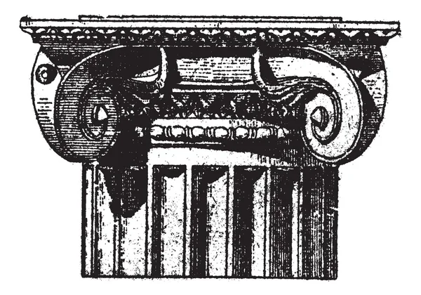 図 3。角度うず巻ケーシングとイオン (ポンペイ) ビンテージ彫刻. — ストックベクタ