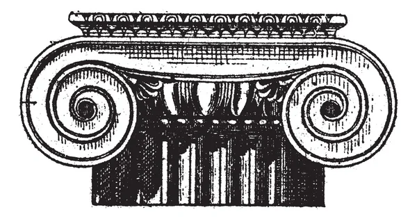 Şekil 1. İyonik Yunan, anterior ve posterior sayısı, vintage engra — Stok Vektör