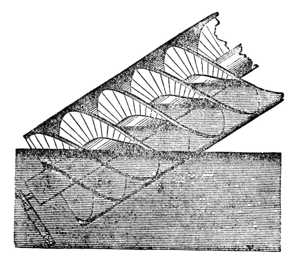 Archimedes schroef- of Archimedische schroef, vintage gravure. — Stockvector