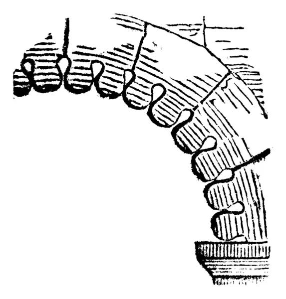 Скругленная доля FR Intrados (XI-XII вв.), винтажная гравировка . — стоковый вектор