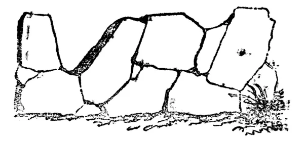 Crazy stenläggning av romarna innehåller lederna i alla riktningar, vi — Stock vektor