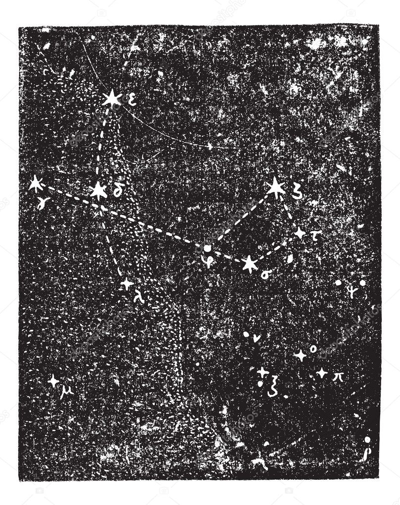 Sagittarius (constellation), vintage engraving.