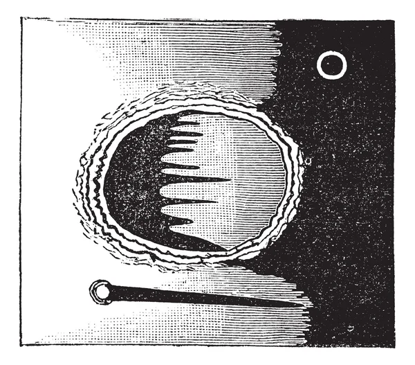 Obrázek 3. -Archimédův pohledu do dalekohledu, vintage engravi — Stockový vektor