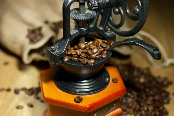 Grinder with coffee beans — Stock Photo, Image