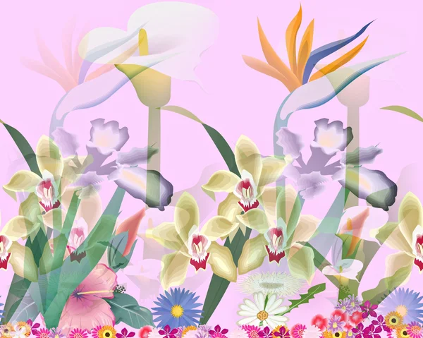 Romantische Blumen — Stockfoto
