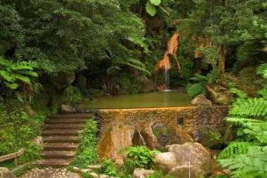 Caldeira Velha (Old Cauldron), San Miguel, Azores clipart