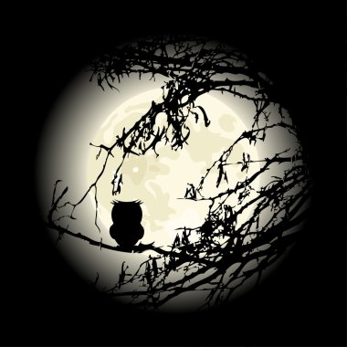 Lonely owl sitting on the tree in night, vector clipart