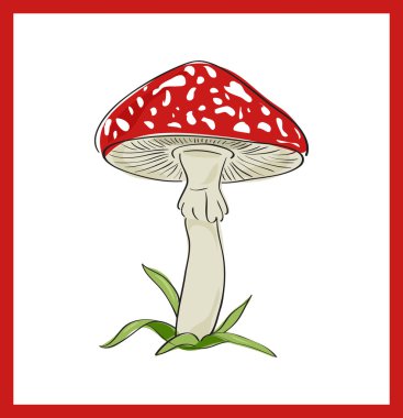 sinek agaric (ölüm cup), vektör çizim