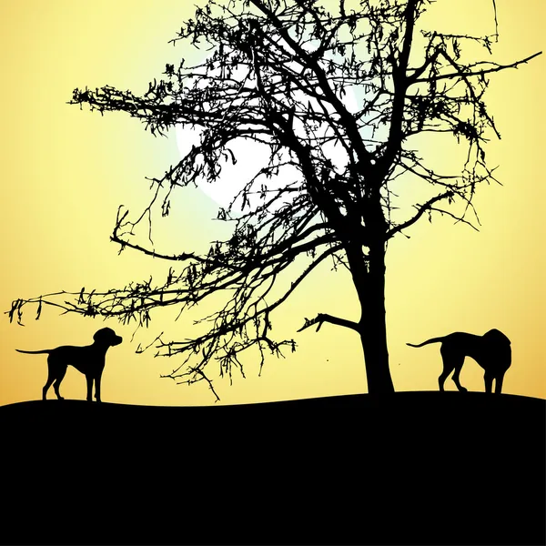 Silhueta de dois cães ao pôr do sol, vetor — Vetor de Stock