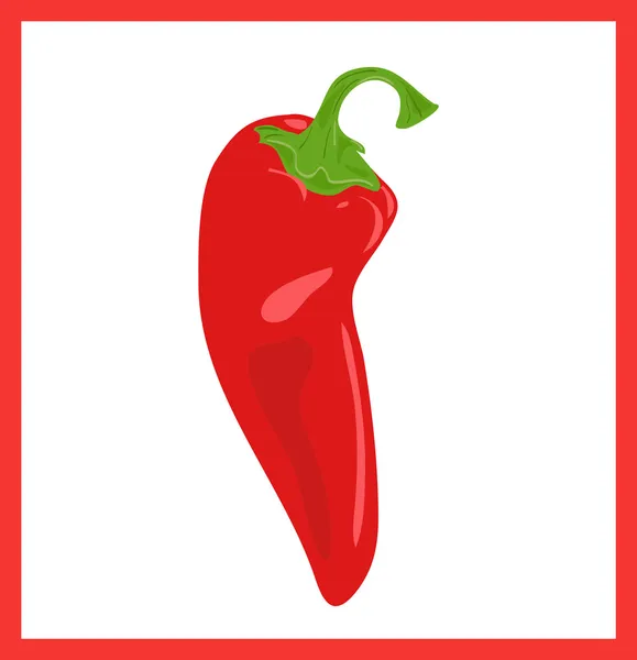Red hot chili peper, vectorillustratie — Stockvector