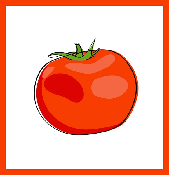 stock vector Fresh red tomato, vector