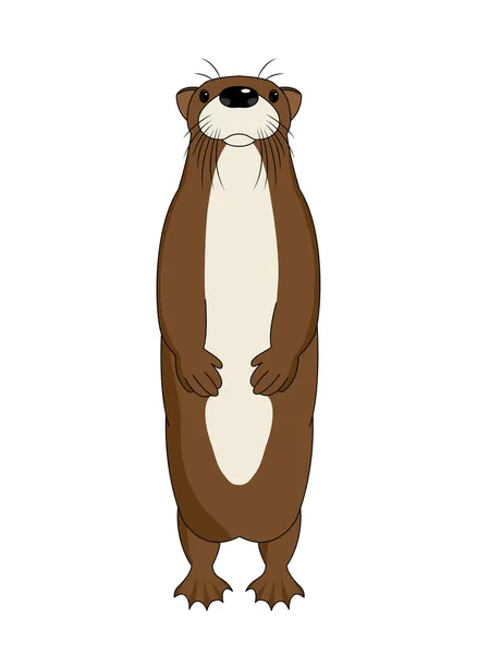 Funny cartoon otter, vector illustration — Stock Vector