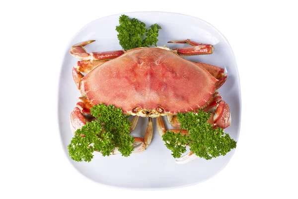 Crab Delight Dinner — Stock Photo, Image