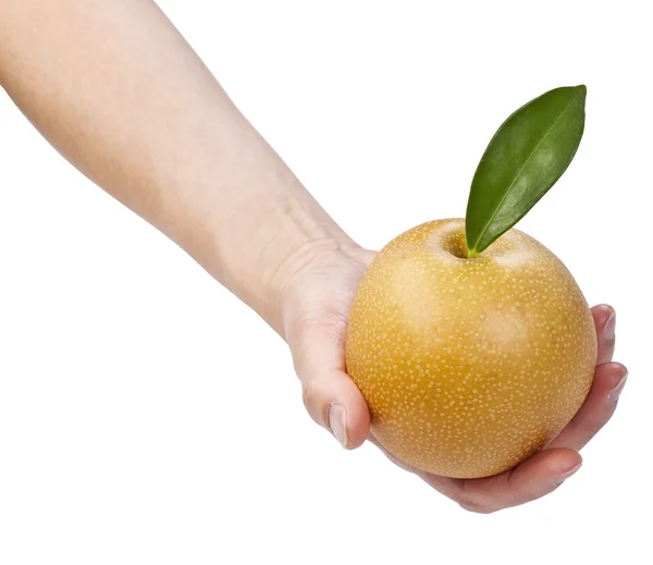 Pêra de maçã grande saudável na mão — Fotografia de Stock