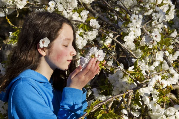 Jeune fille sentant les fleurs de cerisier — Photo