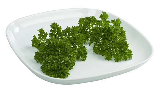 Parsley in Plate — Stock Photo, Image