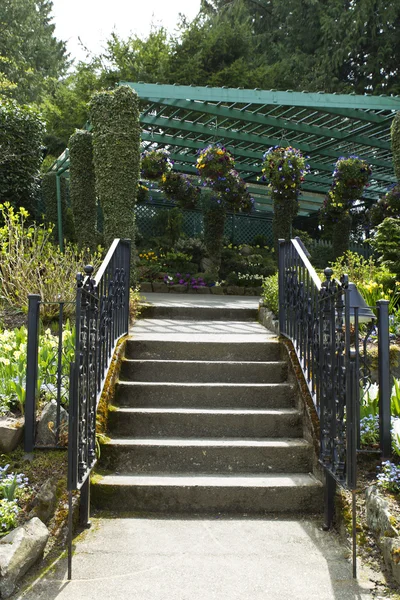 Лестница в сад — стоковое фото