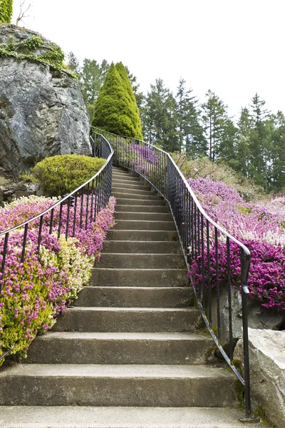Cennete giden merdiven — Stok fotoğraf