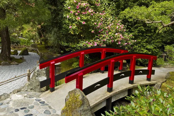 Japansk trädgård med röda bron — Stockfoto