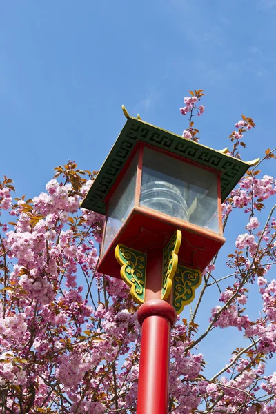 Asian Lamp in Victoria Canada — Stock Photo, Image