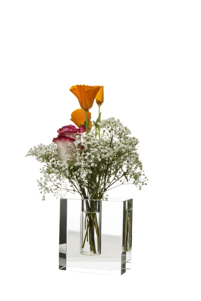 Gele wilde bloemen in glazen vaas — Stockfoto