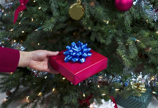 Holiday Gift — Stock Photo, Image