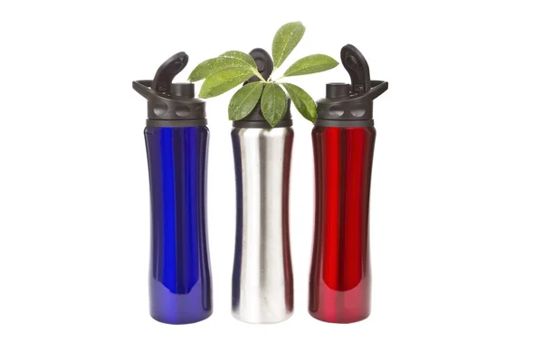 Stainless Steel Water Bottles with Plant — Stock Photo, Image