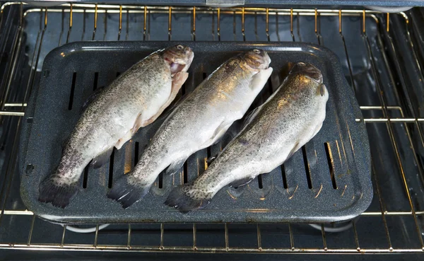 バインドされている魚のオーブン — ストック写真