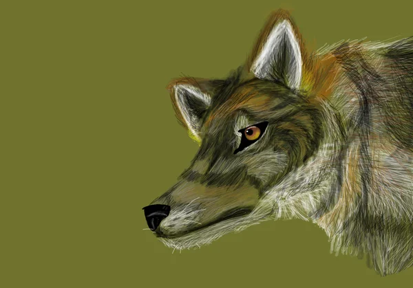 Šedý vlk na neutrální zelené pozadí — Stock fotografie