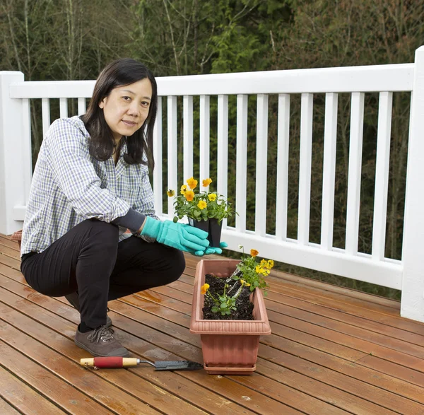 Planting Flowers for the Patio — Stock Photo, Image