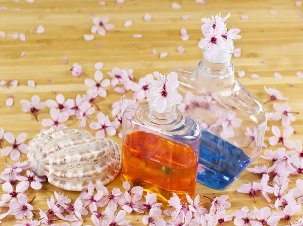 Spring Cologne — Stock Photo, Image