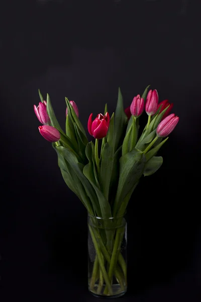 Tulips in Vase — Stock Photo, Image