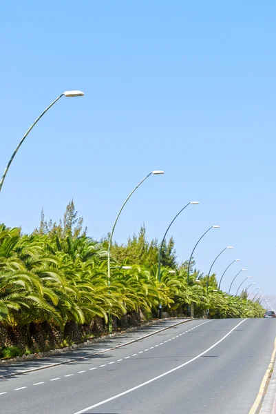 stock image Fuerteventura