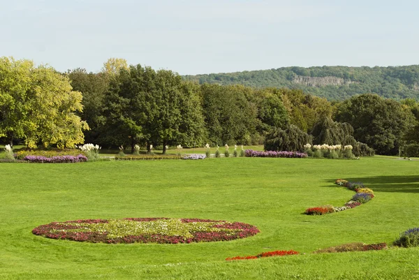 Rheinaue park i bonn — Stockfoto