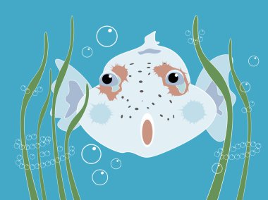 Curious_fish clipart