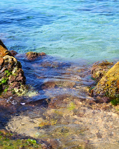 Kamienie i skały na brzegu morza — Zdjęcie stockowe