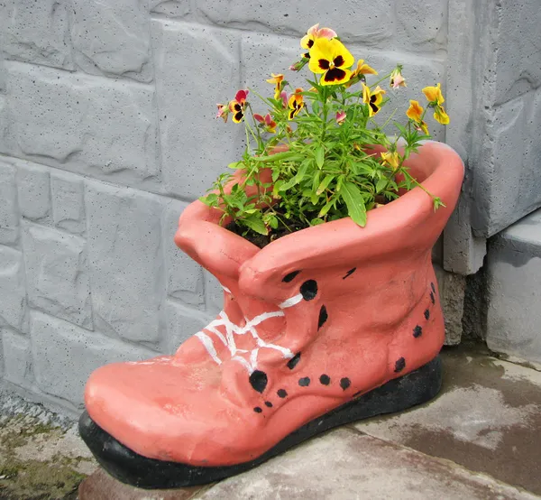 Flower pot in shape of shoe with blooming flowers — Stock Photo, Image