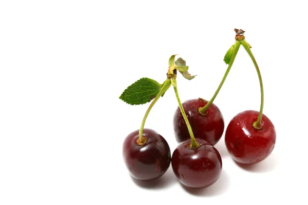 Sweet cherry — Stockfoto