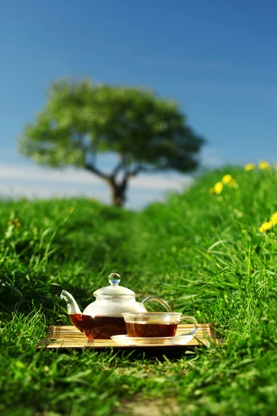Přírodní čaj — Stock fotografie